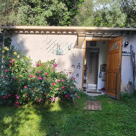 Studio A La Campagne Ucciani Exteriör bild