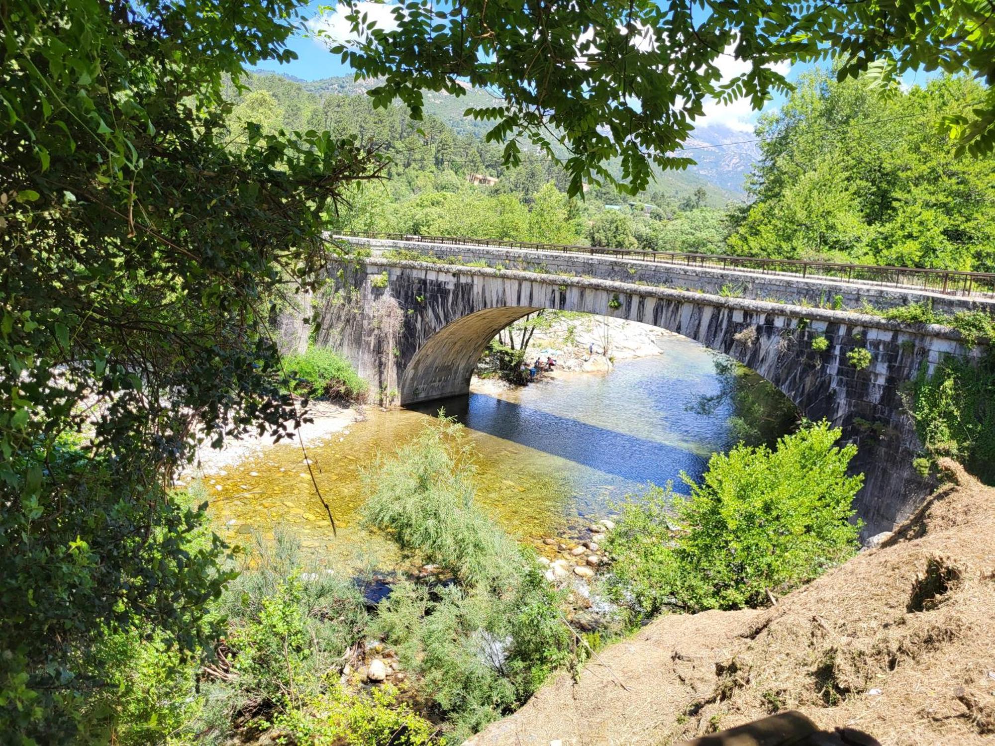 Studio A La Campagne Ucciani Exteriör bild