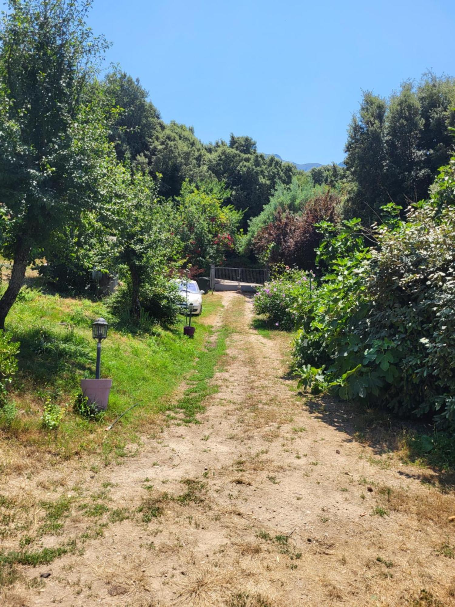 Studio A La Campagne Ucciani Exteriör bild